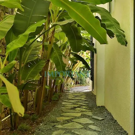 Chic Oasis By Important Group Travel Hotel