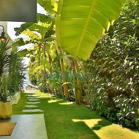 Hotel Chic Oasis By Important Group Travel 4*